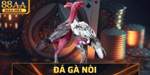 Đá Gà Nòi - Theo Dõi Những Màn Đọ Cựa Kịch Tính