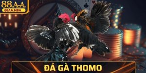 Đá Gà Thomo - Nơi Chiến Kê Thể Hiện Kỹ Năng Vượt Trội
