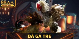 Đá Gà Tre - Màn Đối Đầu Của Những Chiến Kê Nhỏ Mạnh Mẽ